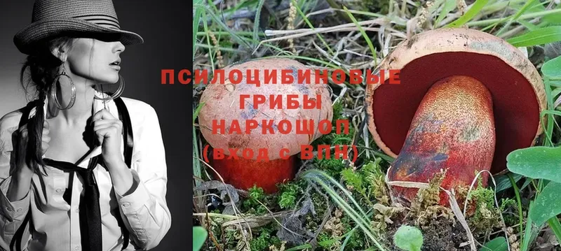 как найти   нарко площадка какой сайт  Галлюциногенные грибы Magic Shrooms  Владивосток 